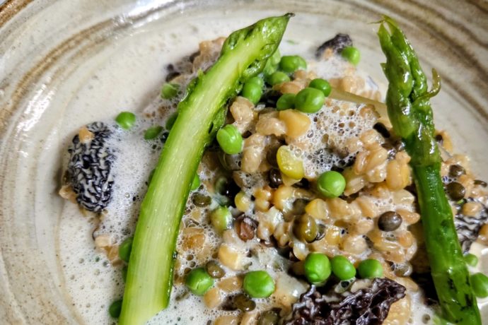 Risotto petit épeautre morilles & Vin Jaune