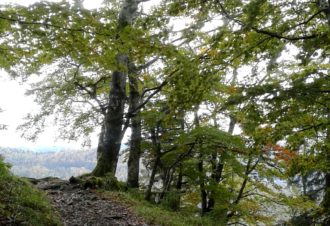 Belvédère de la Roche Brûlée