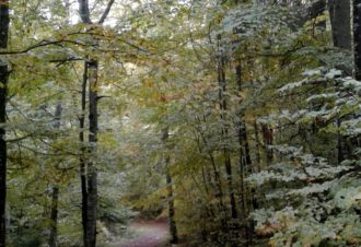 Belvédère de la Roche Brûlée