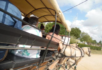 Domaine de la Loge – École d&rsquo;équitation