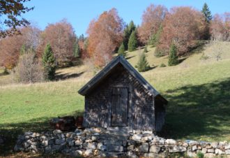 Sentier des Diots du Jura