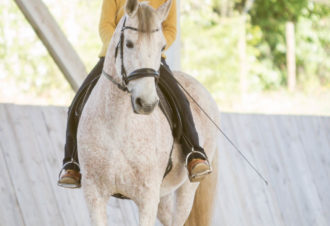 Les Chevaux de Beltane