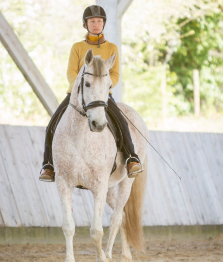 Les Chevaux de Beltane