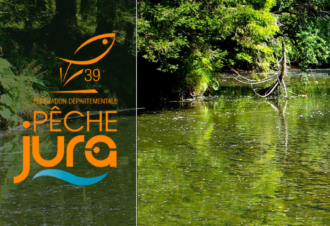 La Gaule Régionale Salinoise