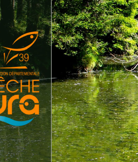 La Gaule Régionale Salinoise