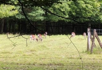 Parc de la Sauline