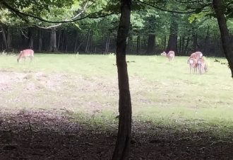 Parc de la Sauline
