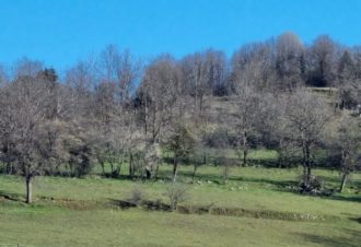 Le p&rsquo;tit coin de Ca&rsquo;Ré