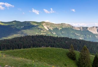 Sentiers Libres – Rémi Basmaji