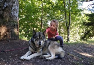 Sentiers Nordiques – Chiens de traîneaux