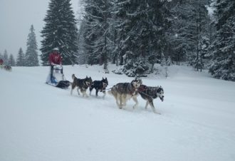 Sentiers Nordiques – Chiens de traîneaux