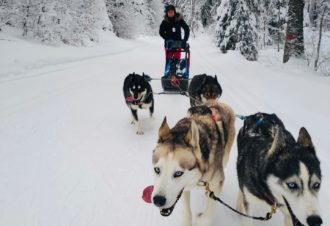 Sentiers Nordiques – Chiens de traîneaux