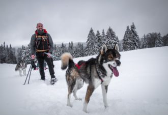 Sentiers Nordiques – Chiens de traîneaux