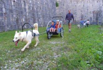 Sentiers Nordiques – Chiens de traîneaux