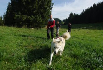 Sentiers Nordiques – Chiens de traîneaux
