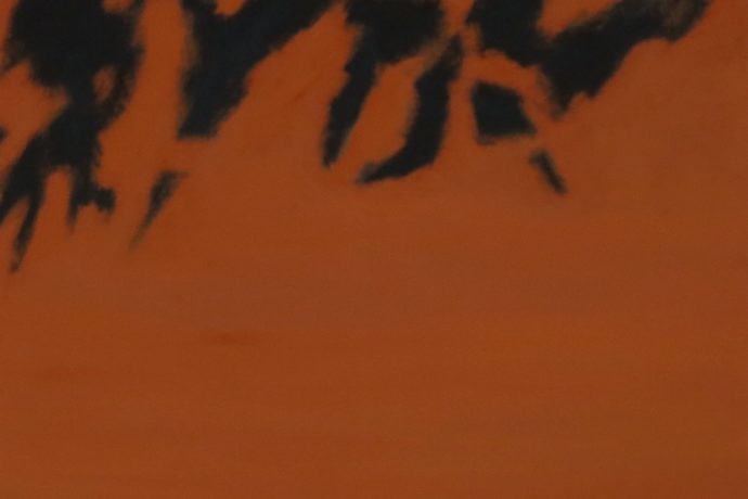 Série Ombres n°5, 2026. 80 x 60 cm