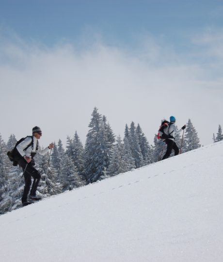 Natur&rsquo;Odyssée Jura