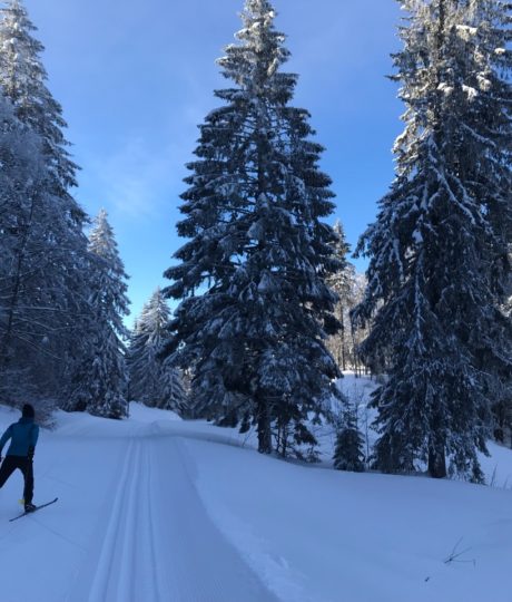 Site Nordique de la Pesse – Hautes Combes