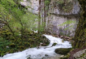 Source du Bief de la Ruine et Creux des Joyaux