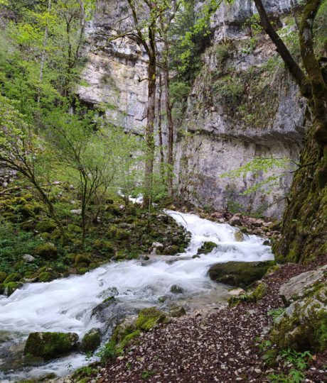 Source du Bief de la Ruine et Creux des Joyaux