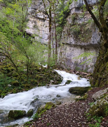 Source du Bief de la Ruine et Creux des Joyaux
