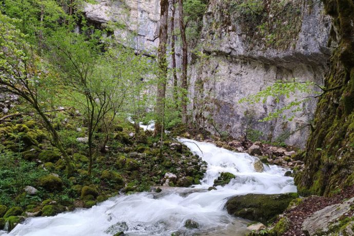 Sourcedubiefdelaruine_foncinelehaut_printemps_2023_©Jean-Marie Combette-Peter (1)