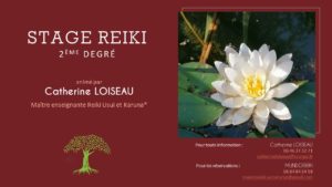 Stage Reiki 2