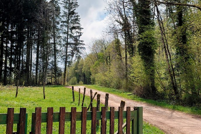 Sur les chemins