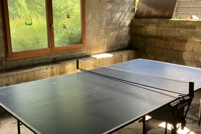Table de ping pong