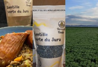 Terre de Finage – Lentille verte du Jura