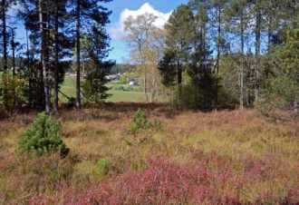 Réserve Naturelle Régionale des tourbières du bief du Nanchez