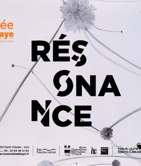 2095523Musée de l&rsquo;Abbaye – Visite guidée :  » Résonance « 