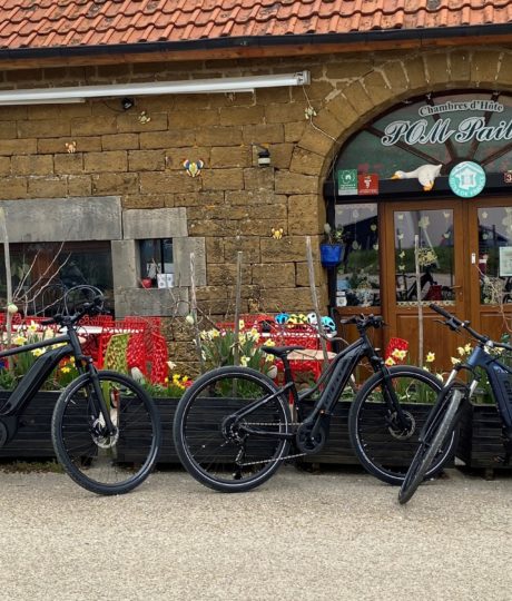 Location Vélo Electrique