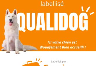 Estuvi – La Sittelle Enchantée, une pause à la campagne