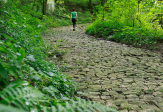 Voie Romaine de Montagna