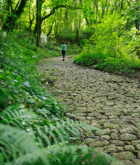 Voie Romaine de Montagna
