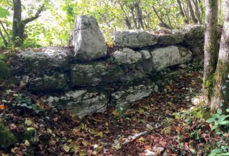 Visites guidées ArchéoJuraSites