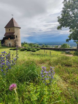 Vue sur Tour Prison depuis haute cour 1