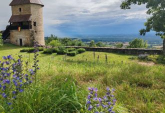 Château de Chevreaux