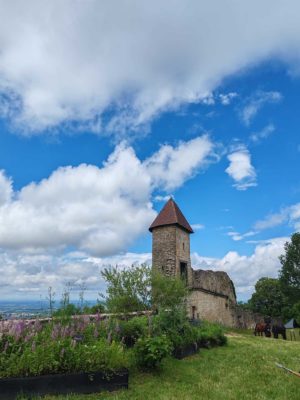 Vue sur tour Joux et Jardin – Chevreaux