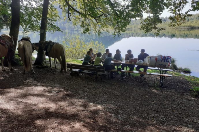 WhatsApp Image 2023-10-01 at 15.09.38