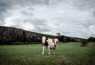La Haute Vallée de la Valouse