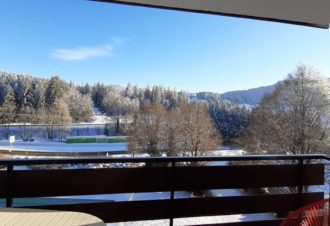 Le Lacuzon – Appartement en résidence – R562CHE00