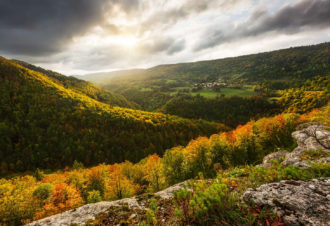 L’Arcadienne – 94N