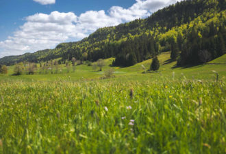 L’Arcadienne – 94N