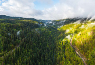 L’Arcadienne – 94N