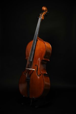 adrian-maximiliano-arellano-yFnMehH1DIw-unsplash
