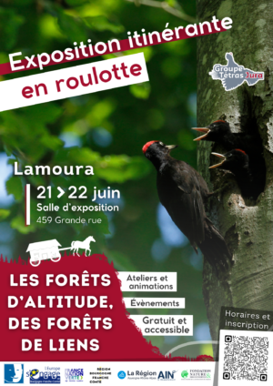 Affiche Lamoura – exposition itinérante