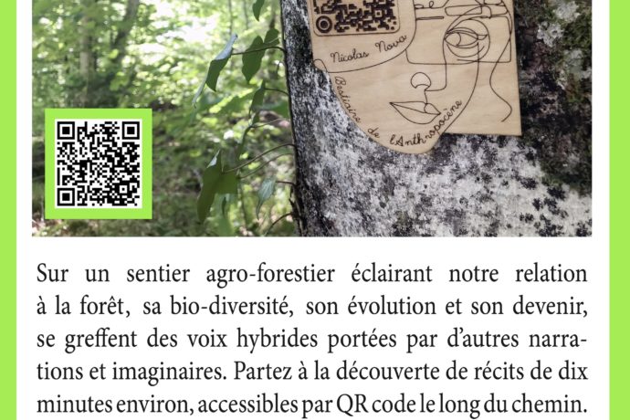 affiche reduite VY GREFFONS