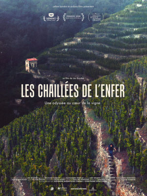 affiche_web